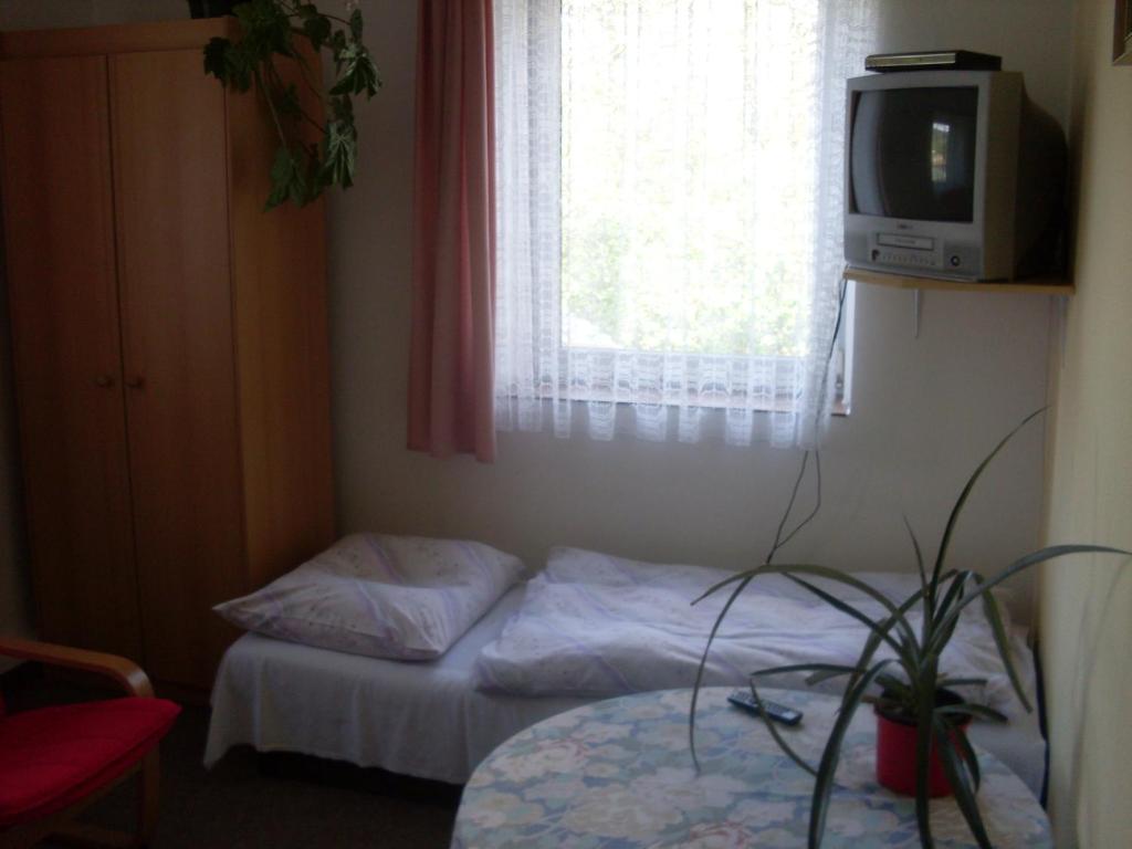 Двухместный (Двухместный номер с 1 кроватью или 2 отдельными кроватями) гостевого дома U Kaštanů, Карловы Вары