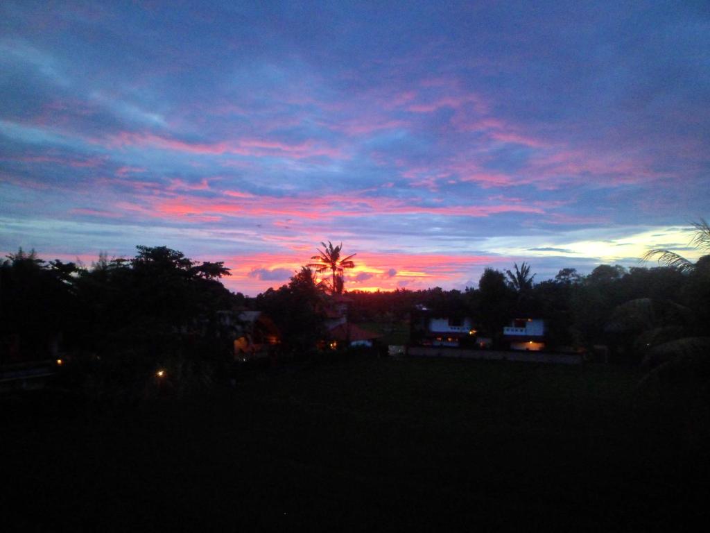 Двухместный (Двухместный номер с 2 отдельными кроватями и окном), Nuriani Restaurant and Rooms