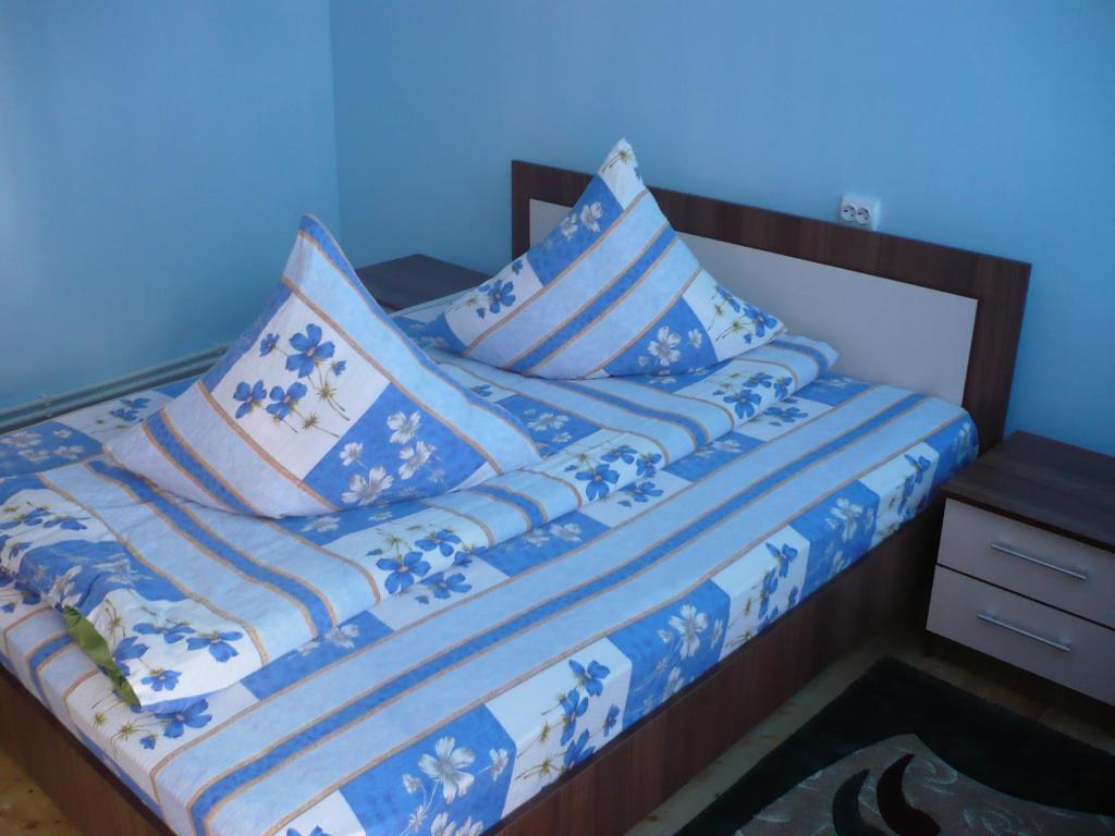Двухместный (Двухместный номер с 1 кроватью) гостевого дома Pensiunea Daiana, Аришени