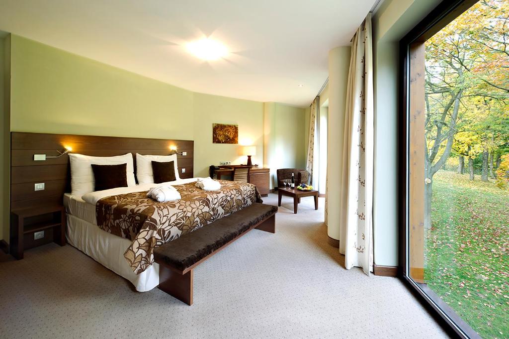 Двухместный (Улучшенный двухместный номер с 1 кроватью и бесплатным доступом в оздоровительный центр.) отеля Hotel Zochova Chata, Сенец