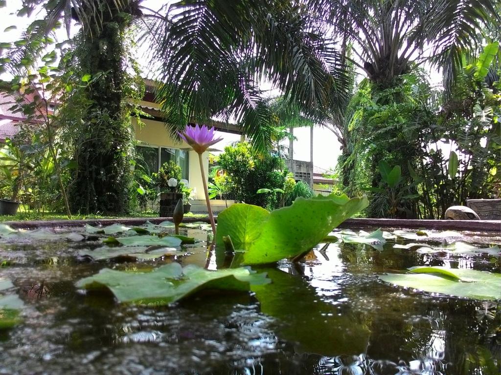 Номер (Бунгало с видом на сад) отеля Aathid Garden Khao Lak, Кхаулак