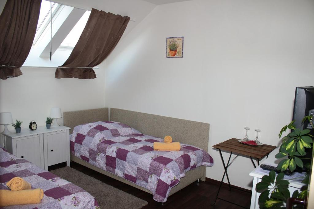 Двухместный (Двухместный номер с 2 отдельными кроватями и душем) отеля Lamberk, Нови-Йичин