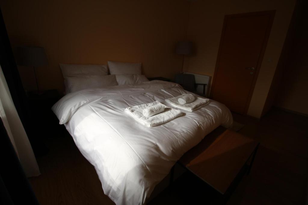 Двухместный (Двухместный номер с 1 кроватью или 2 отдельными кроватями, вид на сад) отеля Dharma City, Шарлеруа