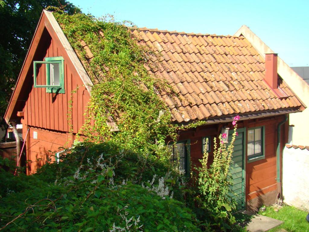 Номер (Коттедж) хостела Visby Logi & Vandrarhem Hästgatan, Висбю