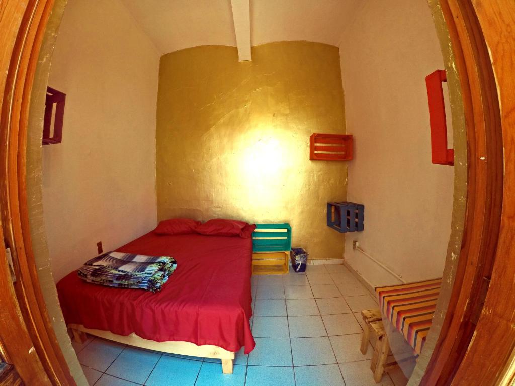 Двухместный (Бюджетный двухместный номер с 1 кроватью) хостела Iguana Hostel Oaxaca, Оахака-де-Хуарес