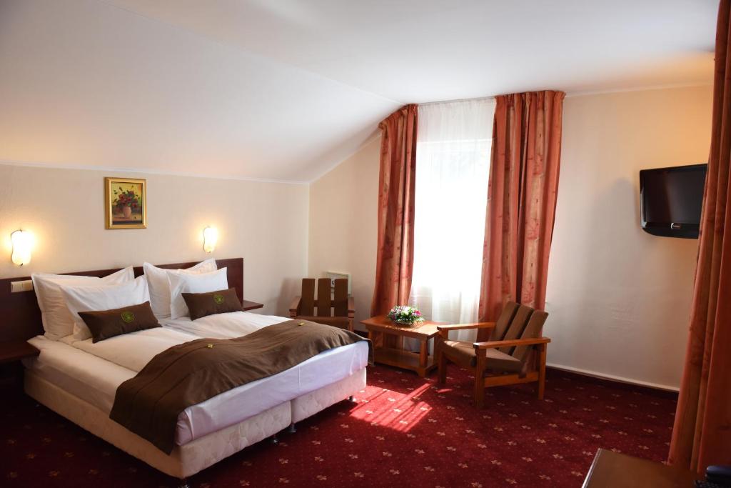 Двухместный (Представительский двухместный номер с 1 кроватью или 2 отдельными кроватями) отеля Hotel Fantanita Haiducului, Питешти
