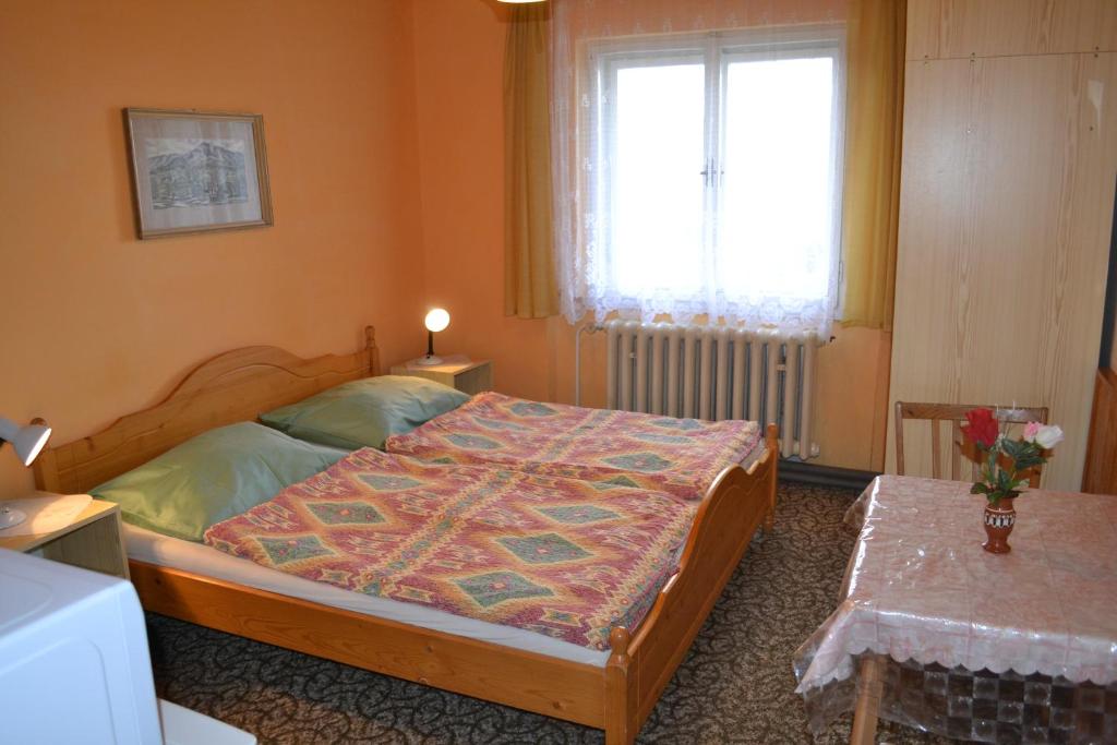 Двухместный (Стандартный двухместный номер с 1 кроватью) гостевого дома Penzion Hainiš, Янске-Лазне