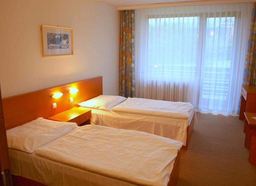 Двухместный (Двухместный номер с 2 отдельными кроватями) отеля Hotel SOREA URÁN, Татранска-Ломница