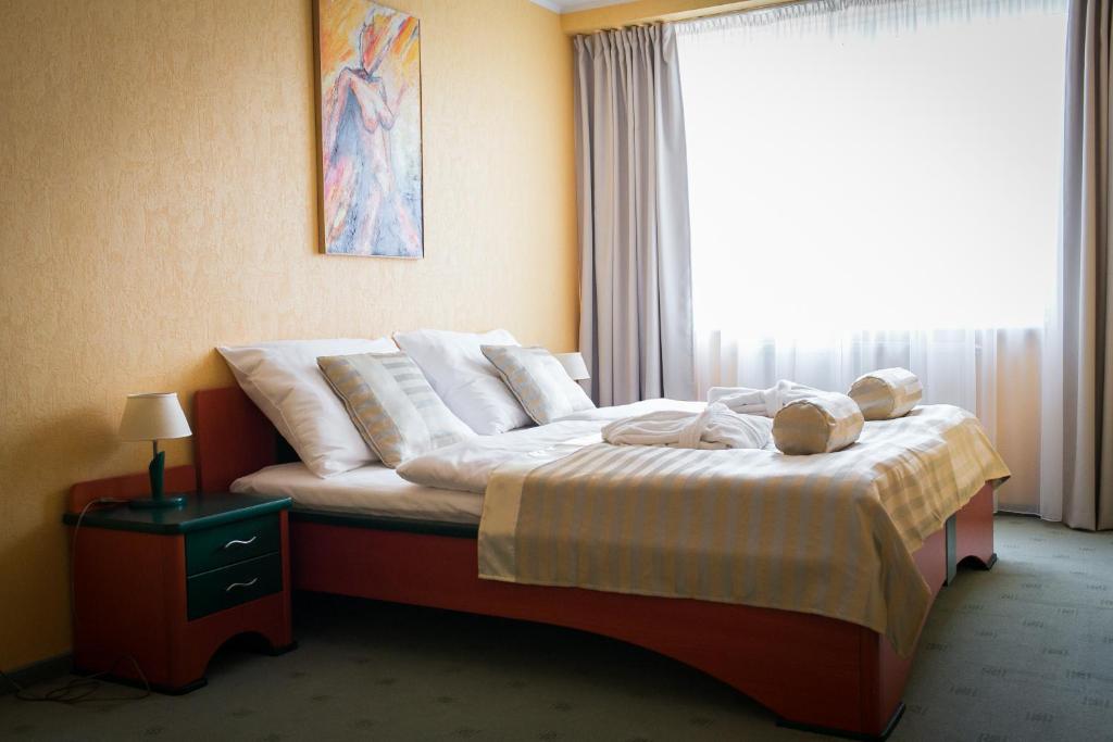 Апартаменты (Апартаменты с 1 спальней) отеля Hotel Kormorán, Братислава