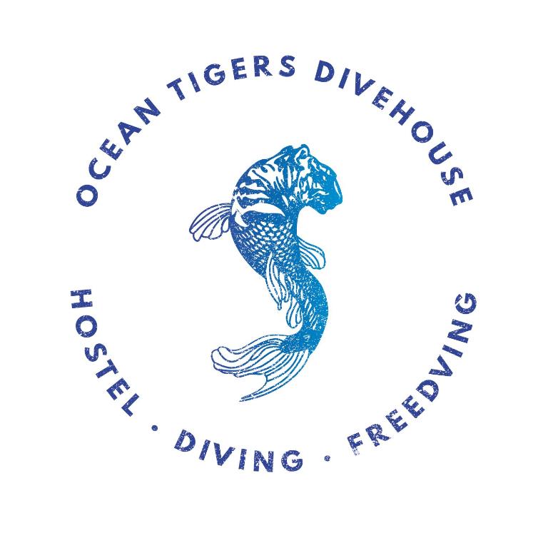 Хостел Ocean Tigers Dive House, Кабо-Сан-Лукас