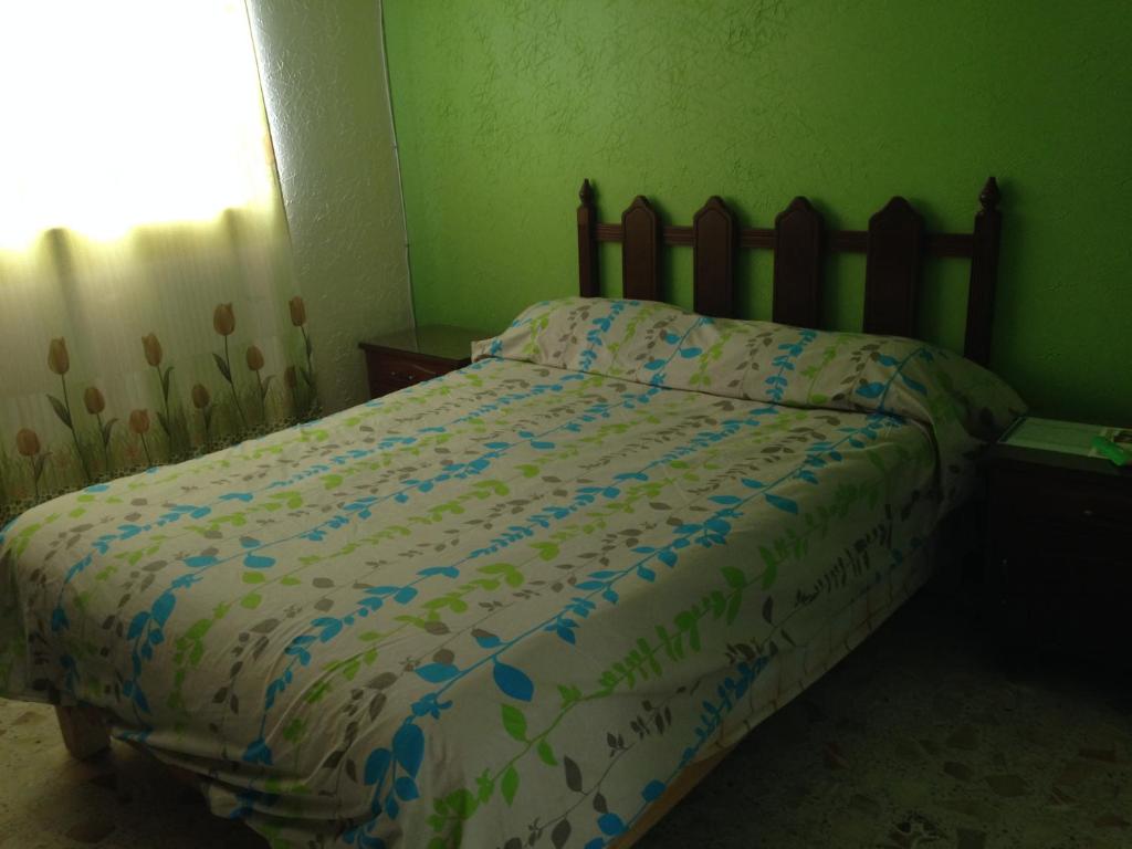 Двухместный (Двухместный номер с 1 кроватью) гостевого дома Hostal Pachuca, Пачука-де-Сото