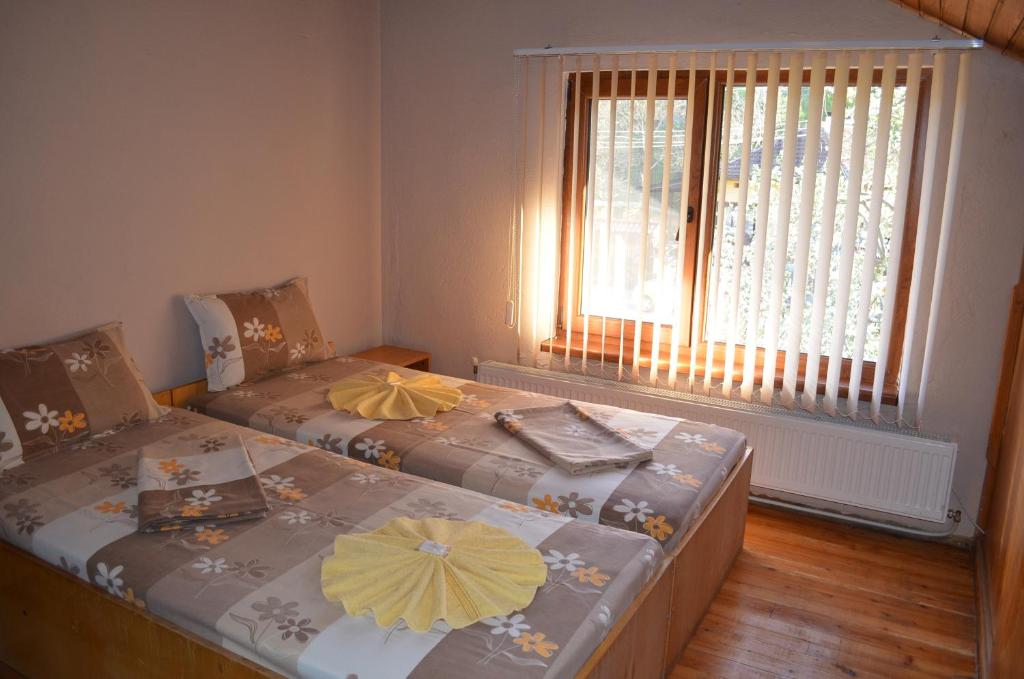 Двухместный (Двухместный номер с 1 кроватью или 2 отдельными кроватями и террасой) гостевого дома Villa Ribarica, Рибарица