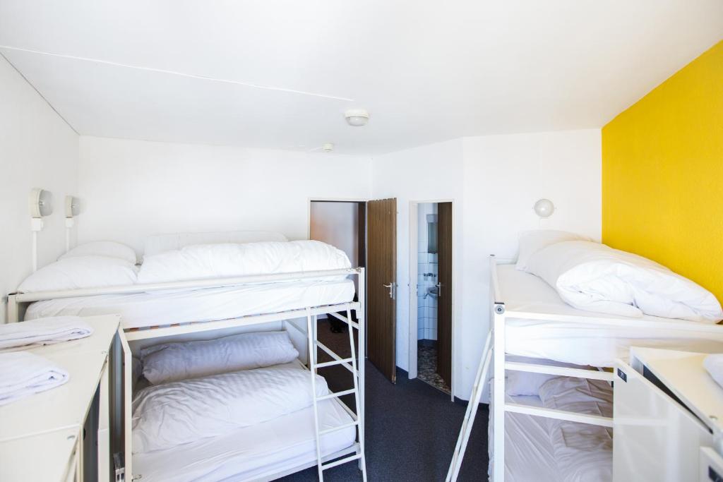 Четырехместный (Четырехместный номер с общей ванной комнатой) хостела Mountain Hostel Crap Sogn Gion, Флимс
