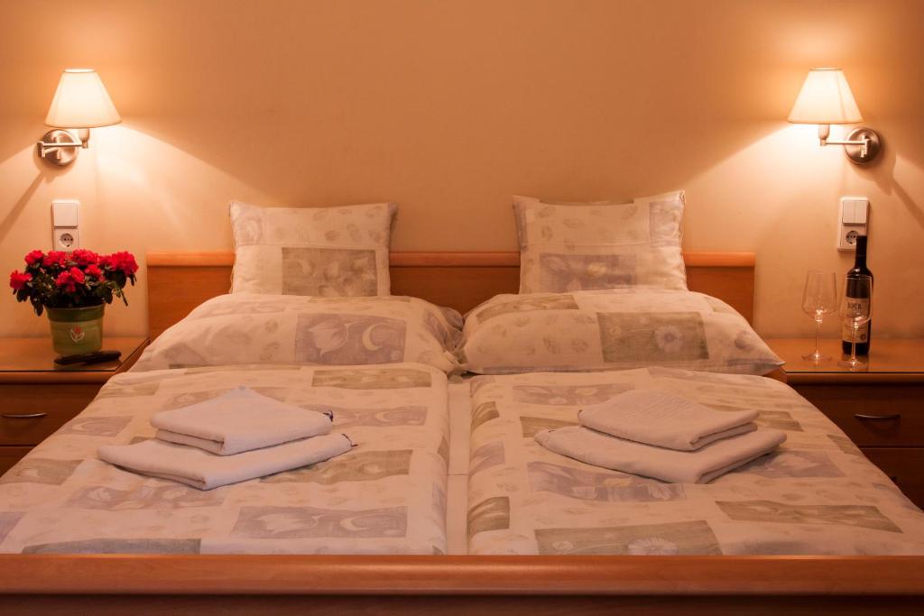 Двухместный (Двухместный номер с 1 кроватью или 2 отдельными кроватями и собственной ванной комнатой) апартамента Pető Panzió, Дьёр