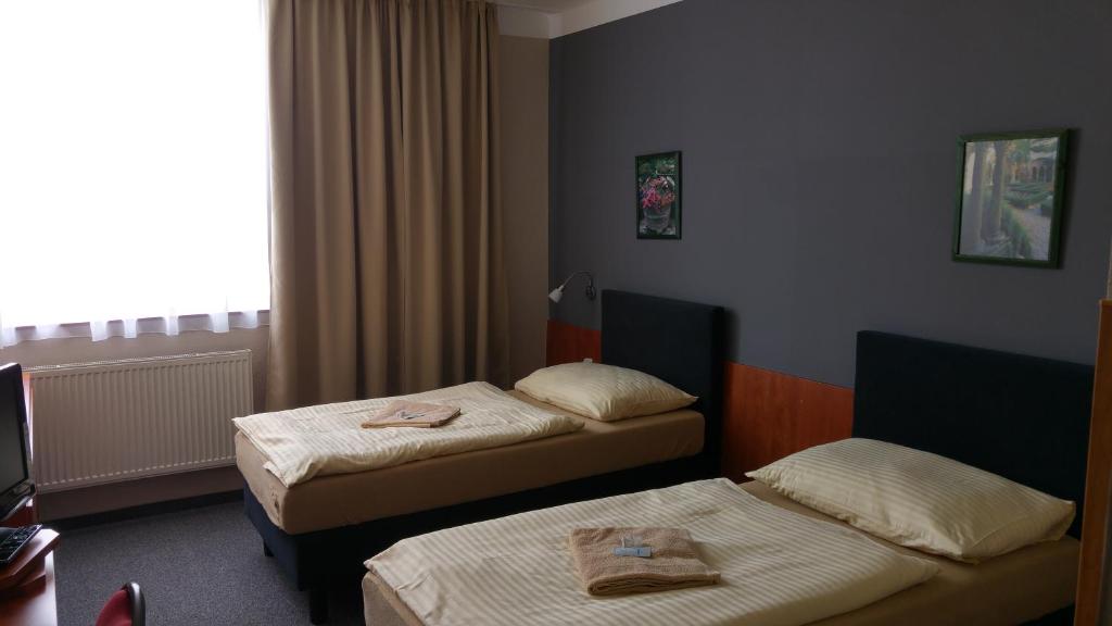 Двухместный (Двухместный номер с 2 отдельными кроватями) отеля OtavArena, Писек