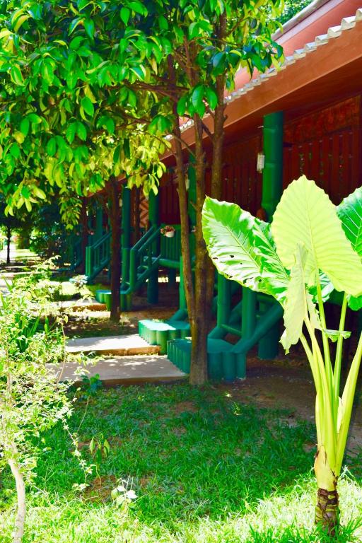 Трехместный (Бюджетный трехместный номер), The Royal Bamboo Lodge