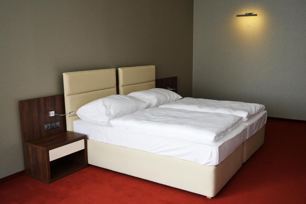 Двухместный (Двухместный номер с 1 кроватью или 2 отдельными кроватями, вид на город) отеля Hotel Arena, Трнава