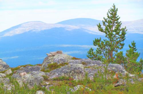 芬兰 基蒂莱8家最赞豪华酒店