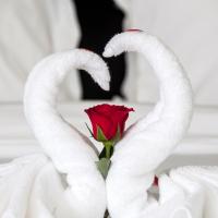 Двухместный (Двухместный номер Делюкс с 1 кроватью) отеля Dylan Hotel Danang, Дананг