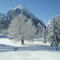 Апартаменты (Апартаменты с 2 спальнями) гостевого дома Bergheim, Визинг