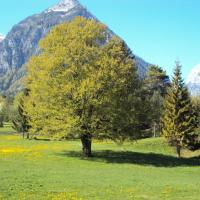 Трехместный (Трехместный номер) гостевого дома Bergheim, Визинг