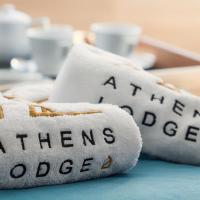 Семейный (Представительские семейные апартаменты) отеля Athens Lodge, Афины