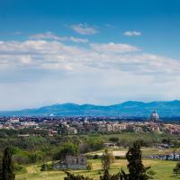 Двухместный (Улучшенный двухместный номер с 1 кроватью) отеля Hotel Pineta Palace, Рим