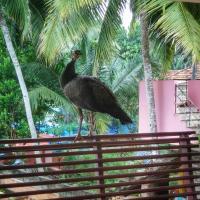 Одноместный (Одноместный номер с балконом) гостевого дома Vedic Heritage Boutique Hotel, Ковалам