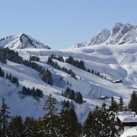 Номер (Шале) шале Chalet La Folie, Монте