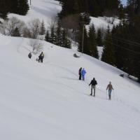 Номер (Шале) шале Chalet La Folie, Монте