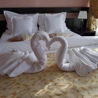 Двухместный (Стандартный двухместный номер с 1 кроватью) отеля Indiana Hotel, Яссы