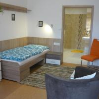 Студио (Номер-студио - Доступ для гостей с ограниченными физическими возможностями) гостевого дома Apartments - Penzion Lena, Градец-Кралове