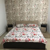 Двухместный (Двухместный номер эконом-класса с 1 кроватью) гостевого дома Andia, Констанца