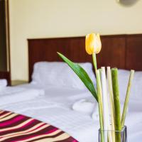 Двухместный (Двухместный номер Делюкс с 1 кроватью или 2 отдельными кроватями) отеля Adria, Карловы Вары