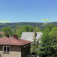 Двухместный (Двухместный номер эконом-класса с 1 кроватью) семейного отеля Arnika Wynajem Pokoi, Закопане