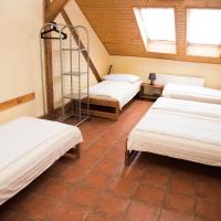 Четырехместный (Пятиместный номер с общей ванной комнатой) гостевого дома Pension 15, Прага