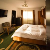 Двухместный (Двухместный номер Делюкс с 1 кроватью) гостевого дома Pensiunea Marcello, Яссы