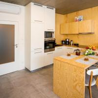 Апартаменты (Апартаменты «Гранд» с ванной) апарт-отеля Residence Trafick, Прага