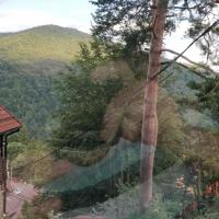 Семейный (Семейный номер с видом на горы) гостевого дома Casa Adina, Синая