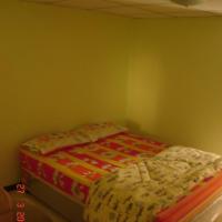 Двухместный (Стандартный двухместный номер с 1 кроватью) гостевого дома Kaset Guesthouse, Бангкок