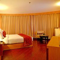 Двухместный (Executive Double Room with complimentary one way airport transfer) отеля The Theme, Jaipur, Джайпур