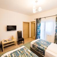 Двухместный (Двухместный номер с 1 кроватью или 2 отдельными кроватями) гостевого дома Pensiunea "La Puiu", Бухарест