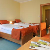 Двухместный (Стандартный двухместный номер с 1 кроватью) отеля Hotel SOREA REGIA, Братислава