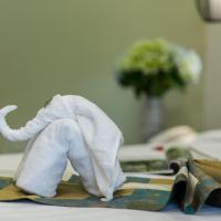 Двухместный (Двухместный номер Делюкс с 2 отдельными кроватями) отеля Splendid Pearlight Hanoi, Ханой