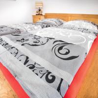 Апартаменты (Апартаменты с 1 спальней) гостевого дома Pension Aqualand, Попрад