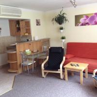 Апартаменты (Апартаменты) гостевого дома Chaloupka, Прага