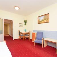 Одноместный (Одноместный номер) отеля Gejzir, Карловы Вары