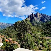 Двухместный (Double Room with Mountain & Sea View) отеля Hôtel Bella Vista, Порто