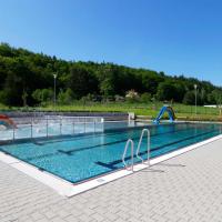 Студио (Семейный номер-студио) апартаментов Holiday Apartments, Карловы Вары