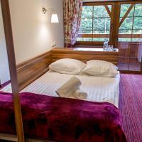 Двухместный (Economy Double Room with Small Bathroom) отеля Patio Zajazd, Катовице